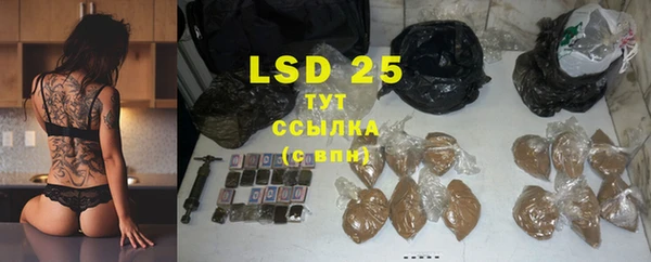 стафф Зерноград