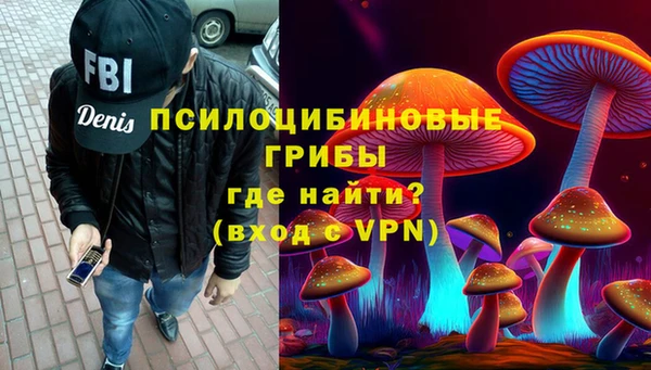 стафф Зеленокумск