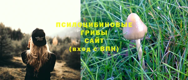 стафф Зеленокумск